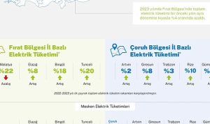 aksa-elektrik-coruh-firat-bolgelerindeki-elektrik-tuketim-oranlarini-acikladi-eQ9KSNMZ.jpg