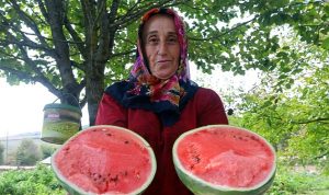 cilek-bahcesi-tesisi-ve-karpuz-tohumu-ZHgn9fWu.jpg