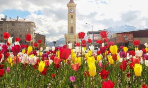 van-buyuksehir-belediyesi-tarafindan-sonbahar-aylarinda-dikilen-laleler-kenti-suslemeye-basladi-tqjYWtXV.jpg