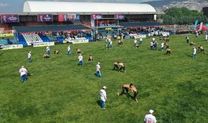 15-sekapark-altinkemer-yagli-guresleri-basladi-8xTTPpeg.jpg