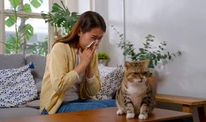 akilli-mamalar-kedi-alerjilerini-ortadan-kaldirabilir-dl2jqBVU.jpg