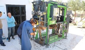 antalya-buyuksehirin-hayvanciliga-destegi-suruyor-hUzFI7Gp.jpg