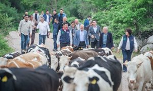 bergamada-yayla-yolculugu-basladi-D59UvMxO.jpg