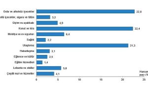 hanehalki-butcesinden-en-fazla-pay-gida-ve-alkolsuz-icecek-harcamasina-ayrildi-8MjOTt3K.jpg
