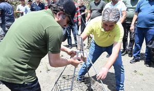 kemerde-caretta-caretta-ilk-yuva-etkinligi-yapildi-ZbSG3xfV.jpg