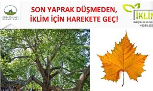 osmangazi-iklim-degisikligi-ile-mucadelede-yol-haritasini-belirledi-UpVEJjI7.jpg