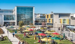 ozyegin-universitesi-the-impact-rankingte-son-5-yildir-turkiyenin-en-iyi-vakif-universitesi-kZKV3qd5.jpg