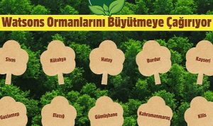 watsons-turkiye-watsons-ormanlarini-2030-yilina-kadar-1-milyon-agaca-kavusturacak-c87sxHbQ.jpg