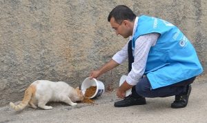 yenisehir-belediyesi-sokak-hayvanlarini-yalniz-birakmiyor-QihqSWwq.jpg