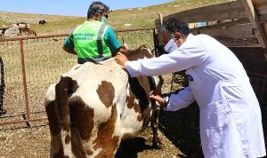 antalya-buyuksehirden-hayvancilik-icin-yeni-proje-EM5U8Jgk.jpg