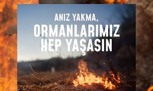 bir-kivilcim-gelecegimizi-yakmasin-ormanlarimiz-hep-yasasin-N489hgre.jpg