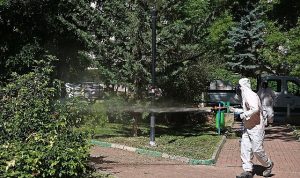 cankaya-parklarina-yaz-bakimi-LnWVLmw8.jpg