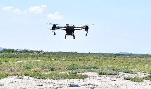 izmirde-sivrisinek-ile-dronlu-mucadele-Yfpwzwm7.jpg