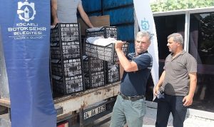 kocaelide-ureticilere-118-bin-cilek-fidesi-dagitildi-5j2WOSBu.jpg