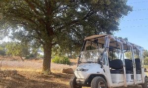 olivelo-yasayan-parkta-safari-turlari-yarin-basliyor-2dYOBs8d.jpg