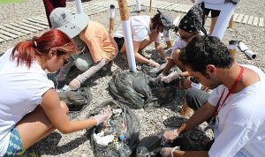 plastiksiz-kiyilar-plastiksiz-sular-projesi-konyaalti-sahilinde-basladi-lW7bXUIn.jpg