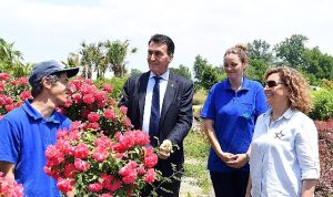 tarihi-inkaya-cinari-gelecege-tasiniyor-JYeK3Ycd.jpg