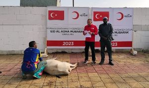 turk-kizilay-kurban-kesimlerini-baslatti-SY1sKHGs.jpg