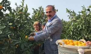 202324-sezonunda-narenciye-rekoltesinde-rekor-artis-m3dRU514.jpg