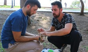 antalya-buyuksehir-can-dostlarimizi-hastaliklara-karsi-koruyor-R2HUgrMO.jpg