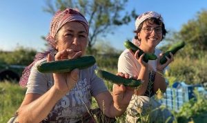 bugday-dernegi-soframiza-gelen-zehirlerden-6si-daha-yasaklandi-H3BXqiBg.jpg