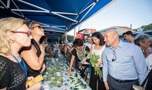 ciftciye-yeni-gelir-kapisi-DO59XJne.jpg
