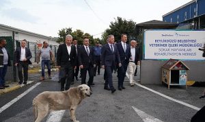 istanbul-valisi-davut-gul-beylikduzunde-incelemelerde-bulundu-XiK5PBTi.jpg