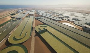 schneider-electric-karbon-yakalama-endustrisine-ecostruxure-automation-expert-ile-guc-katiyor-tfhUkneI.jpg