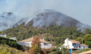 yazlikcilarin-yuregi-agzinda-orman-yanginlari-konut-sigortasina-talebi-artirdi-bFq8G5sz.jpg