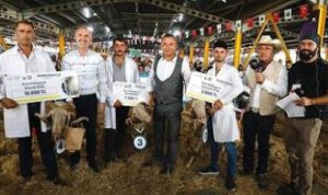3-kucukbas-hayvancilik-festivali-basliyor-E4caW4Aq.jpg