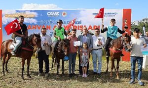 canik-atlari-dort-nala-kostu-Glf3z6r8.jpg