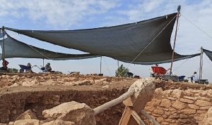 harran-universitesi-dunya-tarihine-yon-verecek-calismalarda-aktif-rol-aliyor-pYLwM5wO.jpg