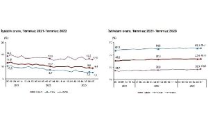 mevsim-etkisinden-arindirilmis-issizlik-orani-yuzde-94-seviyesinde-gerceklesti-1ZrTCiiN.jpg