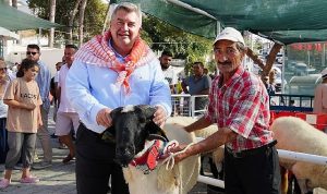 ovacikta-festival-heyecani-basliyor-LlXAQr6b.jpg