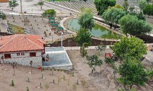 baskentin-en-otantik-nilufer-havuzu-keciorende-KCyduvOq.jpg