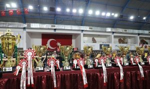 dunyanin-en-buyuk-kanarya-yarismasi-edremitte-RvpW8kCC.jpg