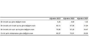 hizmet-uretici-fiyat-endeksi-h-ufe-yillik-yuzde-7995-aylik-yuzde-525-artti-JdMSdbbu.jpg