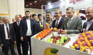yas-meyve-sebze-sektoru-3022-milyar-dolarlik-ovp-ihracat-hedefine-4-milyar-dolar-katki-PCAysVTU.jpg
