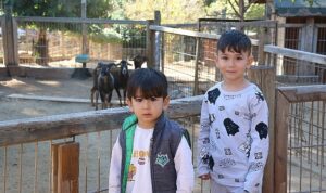 dogal-yasam-parkina-ziyaretci-akini-n8PPuccZ.jpg