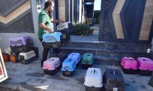 izmirde-mobil-aracla-kisirlastirma-hizmeti-suruyor-K2NG4alp.jpg