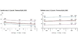 mevsim-etkisinden-arindirilmis-issizlik-orani-yuzde-92-seviyesinde-gerceklesti-Z4SkiVbS.jpg