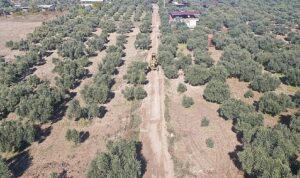 torbali-belediyesinden-ova-yollarinda-hummali-calisma-TpzF6Bek.jpg