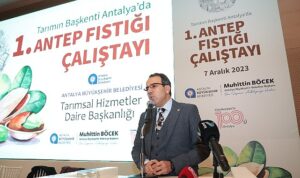 antalyadan-antep-fistigi-uretimi-hamlesi-fazsUiPT.jpg