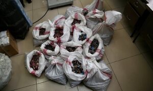cevreye-duyarli-burhaniye-3mCG9vQZ.jpg