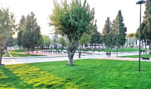 eu-dunyanin-en-yesil-100-universitesi-arasinda-yer-aldi-gQUL5YVT.jpg