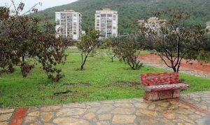 karsiyaka-meyve-bahceleriyle-renkleniyor-gYeuk6PF.jpg