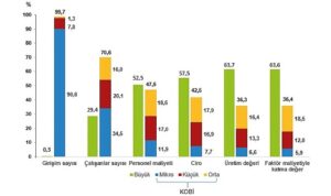 kucuk-ve-orta-buyuklukteki-girisim-istatistikleri-2022-8v5yWM2q.jpg