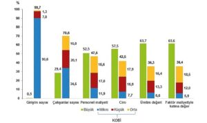 kucuk-ve-orta-buyuklukteki-girisim-istatistikleri-2022-rm6pifui.jpg