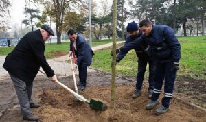 lodos-yikti-belediye-yesertiyor-a9pl1YP7.jpg