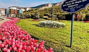 mugla-buyuksehir-yesil-alan-miktarini-il-genelinde-yuzde-92-arttirdi-eYfffaQM.jpg